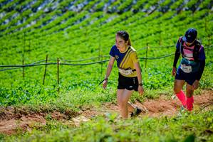 BIB: 640, 
                            <button type="button" onclick="openModal(19163790)" class="btn btn-primary btn-sm float-right btn-popup" data-toggle="modal" data-target=".modal-high-quality">
                        <i class="fas fa-shopping-cart"></i> Add to Cart
                    </button>
                                            <button type="button" onclick="isThisMe(19163790, true)" class="btn btn-success btn-sm float-right btn-popup btn-isme hidden" data-toggle="tooltip" data-placement="bottom" title="นี่คือรูปของคุณใช่ไหม คลิกที่นี่เพื่อเอาเข้าอัลบั้ม">
                        <i class="fas fa-plus"></i> Add to album
                    </button>
                    <button type="button" onclick="isThisMe(19163790, false)" class="btn btn-warning btn-sm float-right btn-popup btn-isnotme hidden">
                        <i class="fas fa-ban"></i> Remove from album
                    </button>